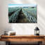 Agave Alvord Farm-106811860