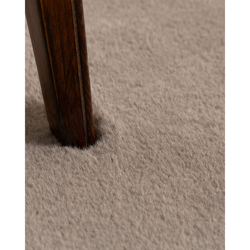 Elegant Anthracite Area Rug, 3.9 x 5.9 Feet | 100% Polyester, Stain-Resistant, Vacuum Cleaner Compatible | Non-Washable, Durable Design for Living Room, Bedroom & Office, Adds Modern Style to Any Space