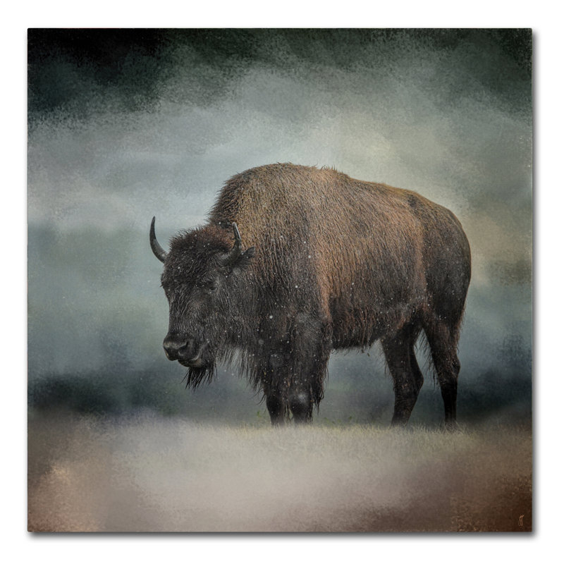 Art mural sur toile tendue - «Stormy Day Buffalo» de Jai Johnson pour décoration de salon, de chambre à coucher ou de bureau - 24 x 24