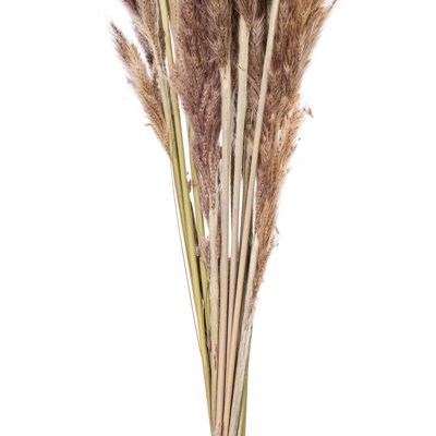 30" Dried Natural Brown Reed Bunch. Approximately 20 stems. This is a natural product, dimensions and color may vary plant to plant.