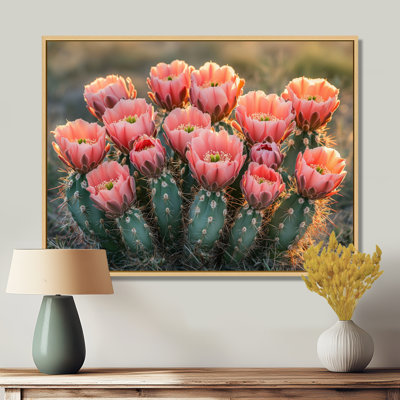 Cactus en pleine floraison à l'aube I - art mural cactus