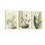 Ensemble de 3 toiles Modern Modern-780640418