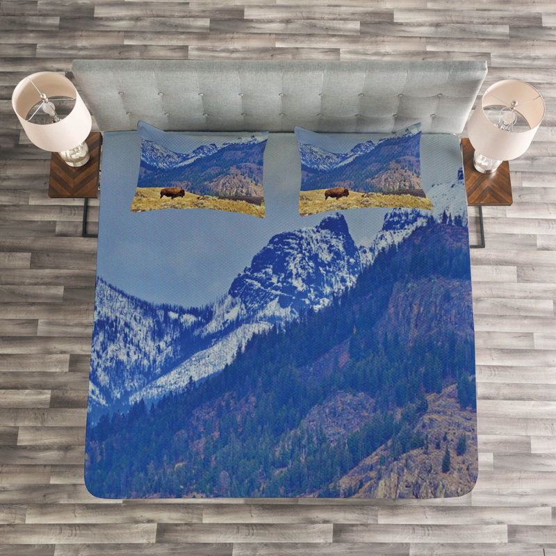 Micheal No Pattern Bedspread with Pillow Shams, 220 x 264 cm