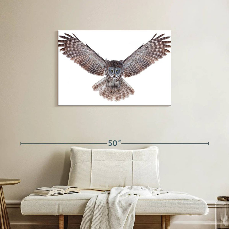 Owl Power, 24" H x 36" W