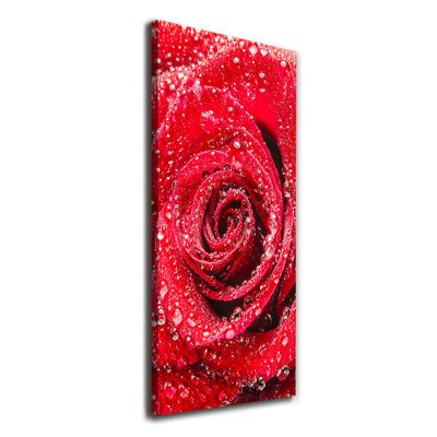 Red Rose - Wrapped Canvas Print