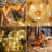 Geltrude Indoor 30 - Bulb 118'' Battery Powered LED Fairy String Light-109567106