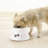 Anti-Skid Pet Bowl-85011235-85011236