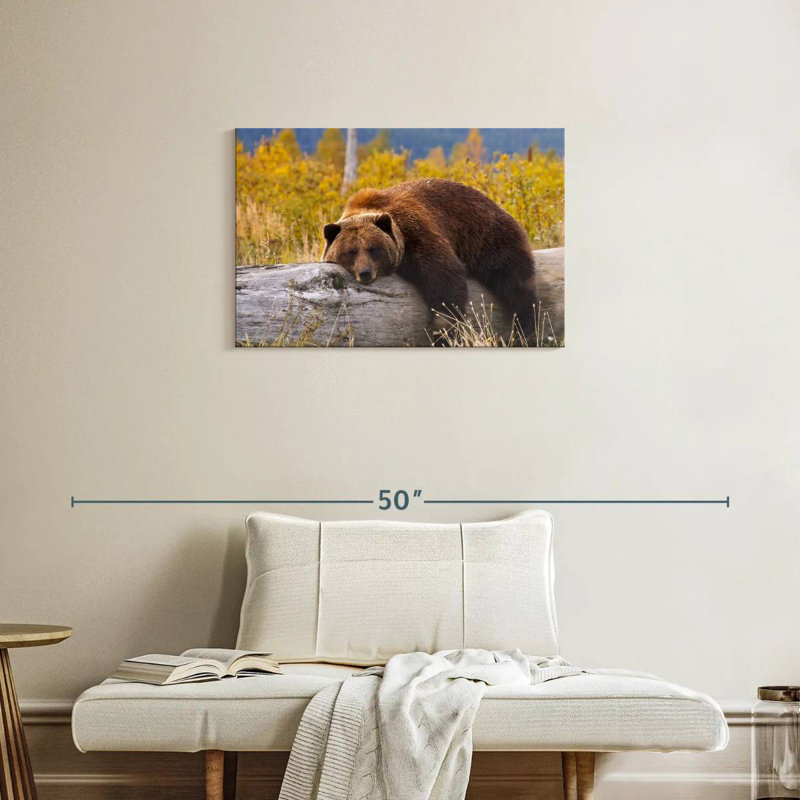 Brampt Resting Grizzly Bear, 20" H x 30" W