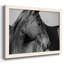 «Flint Hills Wild Horse», reproduction d'un seul cadre photo sur toile-96290266-96290268