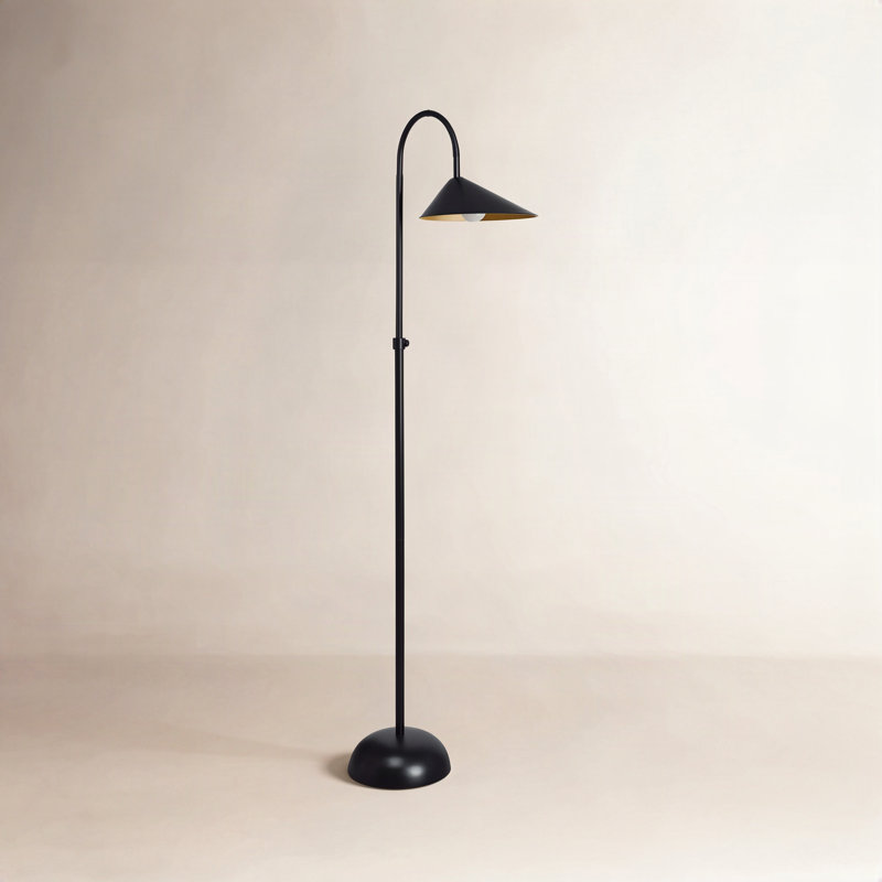 Darien 68.5'' Black Arched Floor Lamp