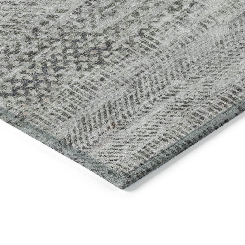 Machine Washable Indoor/Outdoor Claudian ACN1634 Gray Rug, Rectangle 3' x 5'