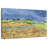 The Fields-107503822