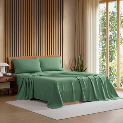 Ensemble de draps en coton percale Lacost