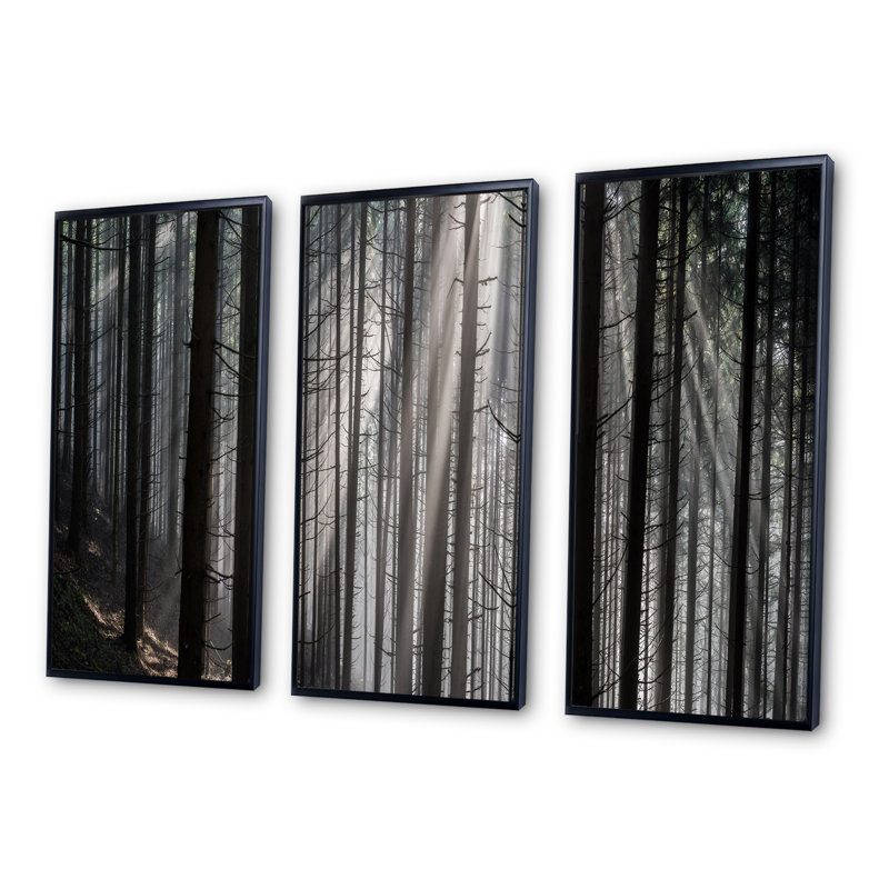 Rayons de soleil «Peeking Through Dark Forest», ensemble d'art mural sur toile encadré forêt, Cadre noir