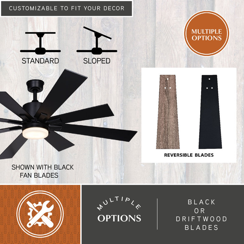 Olney 60'' Ceiling Fan with LED Lights, Black