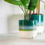 Ceramic Pot Planter-63880959