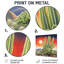 Cactus mexicain, paysage I, art mural floral en métal, impression de cactus floral-354337382