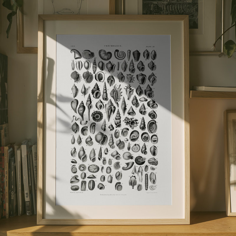 Wrapped Canvas Print, 121.92 cm H x 81.28 cm W