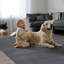 Schnabel Solid Colour Area Rug-1934021075