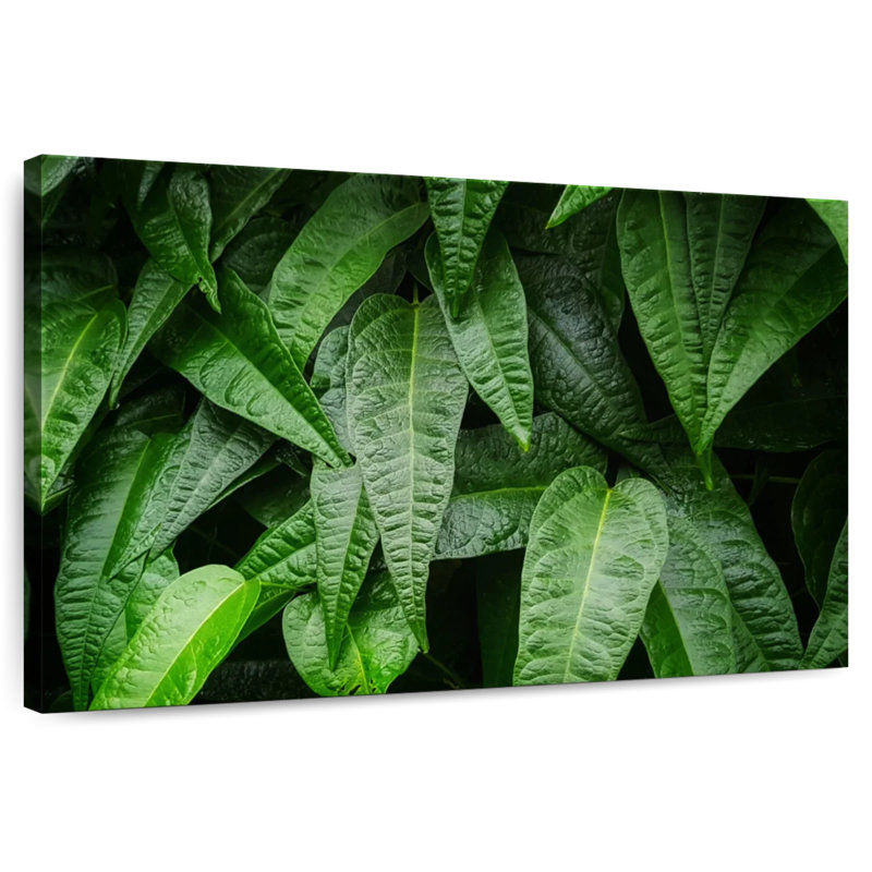 Harnek feuilles de plantes fraîches, H 32 po x l 48 po