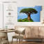 Baobab africain-1021795778