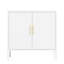 Armoire de rangement en acier pour garage en blanc, 2 tablettes réglables pour les outils de maison et de magasin, verrouillable, serrure de haute qualité, résistance, hauteur de 32,38 po, largeur de 16,15 po, profondeur, fixation murale, facile à assembler