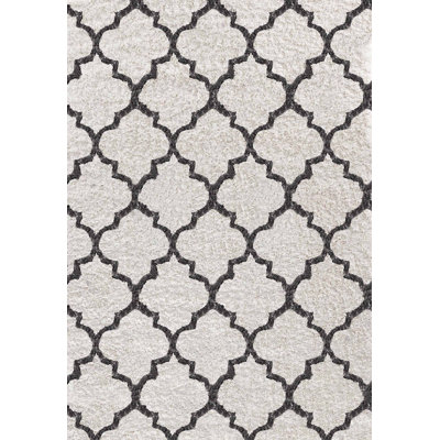 Babsy Geometric Shag Area Rug