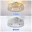 Ventilateur de plafond encastré en cage 20 po avec lumières et télécommande