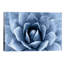 Indigo Succulent II by Mia Jensen - Wrapped Canvas Print-144819357