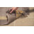 Aitken Hand Woven Cotton Rug-1312984877
