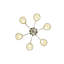 Terra 6 - Light Chandelier