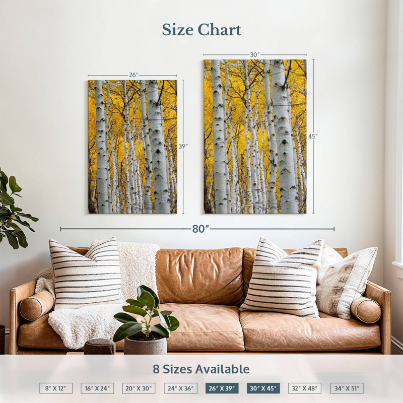 Troncs Alvord Aspen Forest, H 39 po x l 26 po