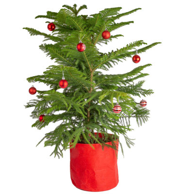 2.3' Pine Christmas Tree