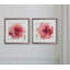 « bold rosé », ensemble de 2 reproductions encadrées-27610085