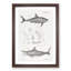 Illustrations of Sharks by J.E. De Kay - Framed Print-55641453-55641457