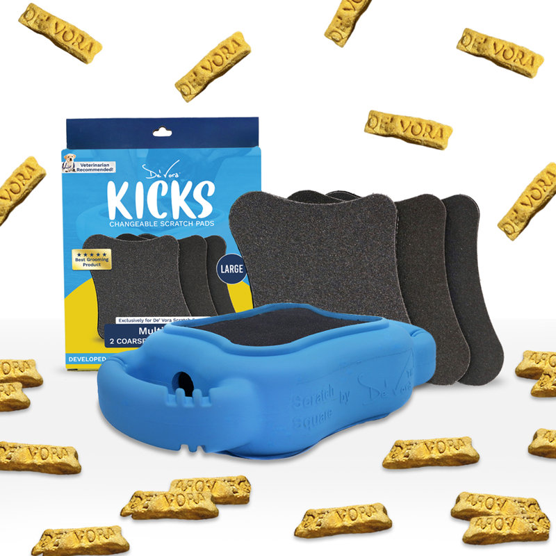 De 'Vora Kicks, Moyen (H 0,1 po x l 5 po x L 5,5 po)