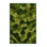 Machine Washable Nature Green Area Rug