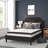 Aluino Tufted Platform Bed with 10 Inch Pocket Spring Mattress-863354456-863354463