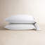 Ensemble de draps Langston-104464286-104464291