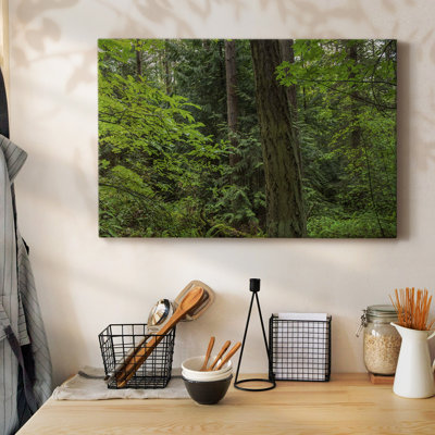 «Calm of the Forest», toile tendue avec châssis