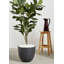 COOLBEBE Jardinière d'extérieur en béton Pots à fleurs d'intérieur Morden, grandes jardinières avec trou de drainage et bouchon en caoutchouc, pots à fleurs ronds pour jardin, patio et bureau-1133900667-1133900669