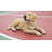 Labrador Retriever Lying Down Statue