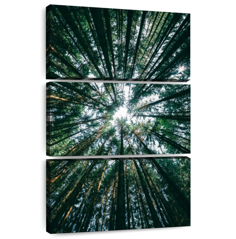 Harnek Pine Tree Grove, H 65 po x l 42 po