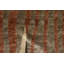 Windsom Striped Area Rug in Black/Rust/Gray