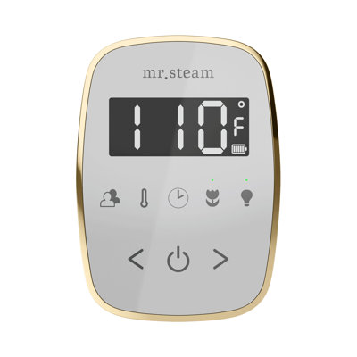 ButlerFlex Steam Shower Control Package with TempoFlex Control and Linear Steamhead