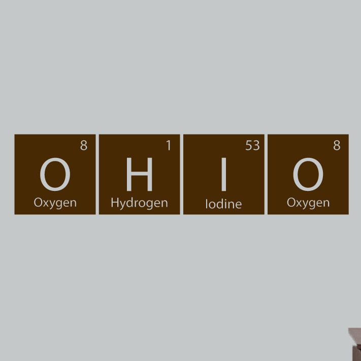 Non-Wall Damaging Wall Decal, Brown