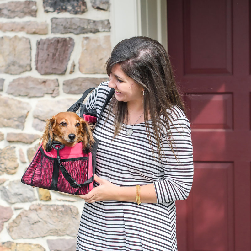 Bellflower Collapsible Pet Carrier with 2 Doors