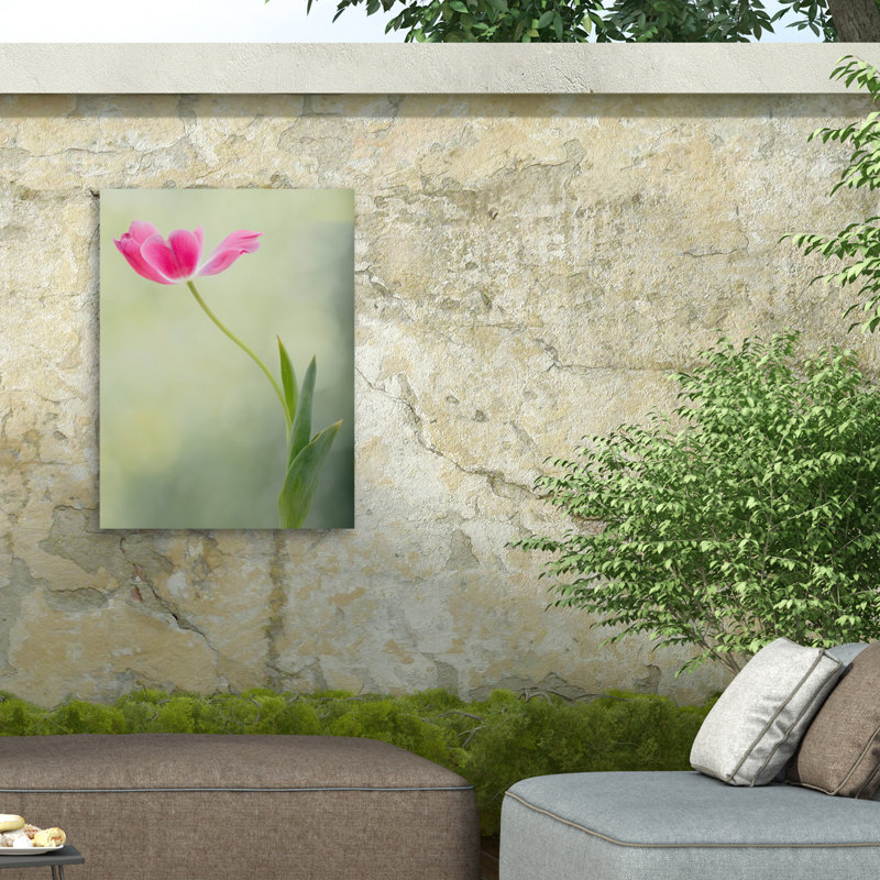 «Tulipe printanière» sur impression sur toile, H 24 po x l 18 po