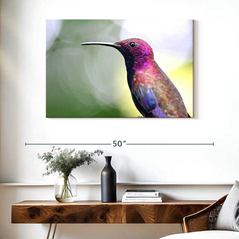 Colibri jamaïcain à la mangue, H 26 po x l 39 po