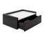 Benning Poplar Floating Shelf with Drawer-94320015